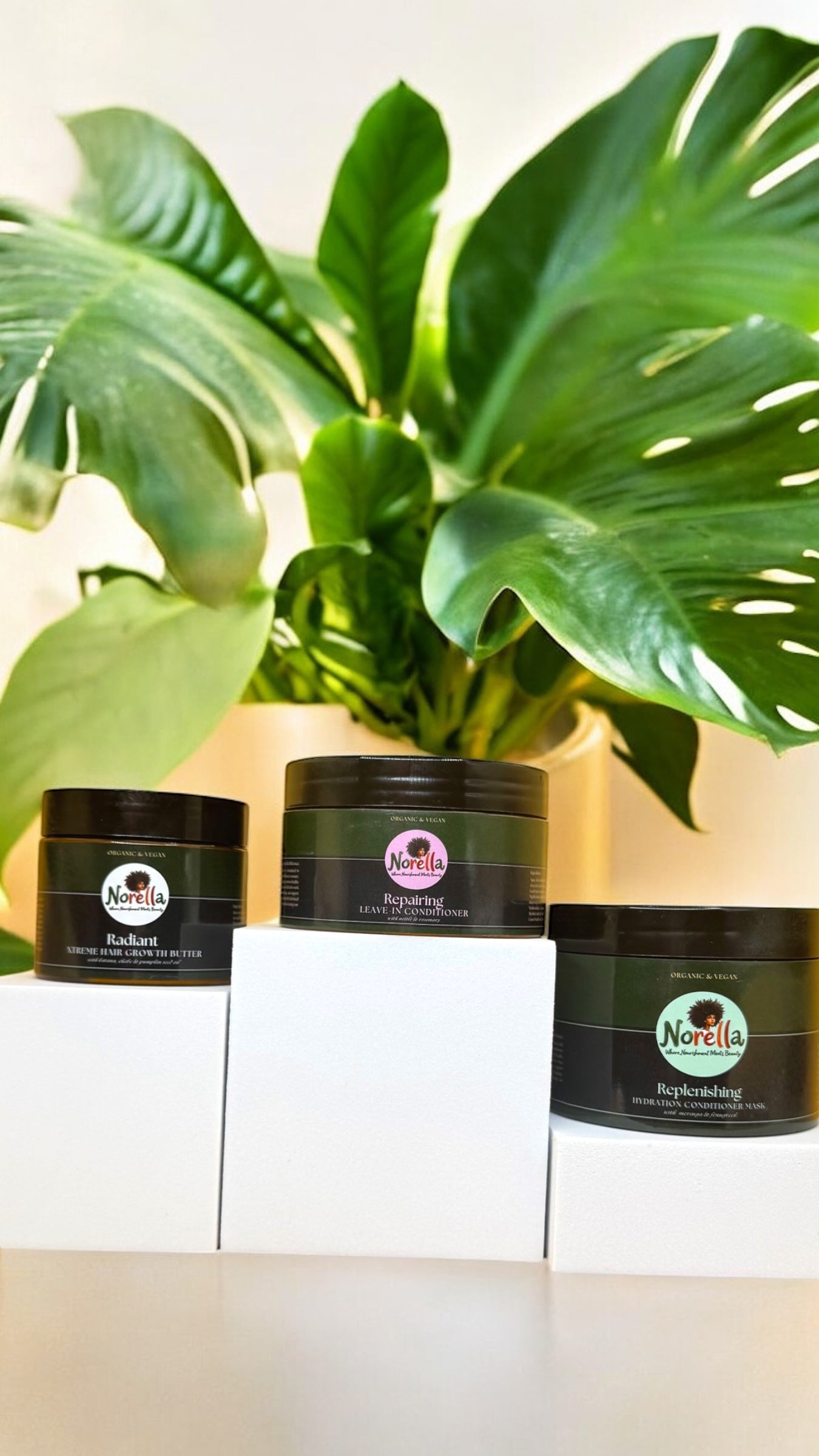 Nourish & Define Set